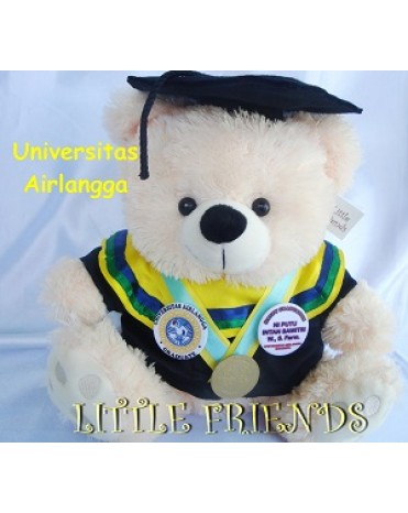 Boneka Wisuda Universitas Airlangga - Farmasi (30 cm)